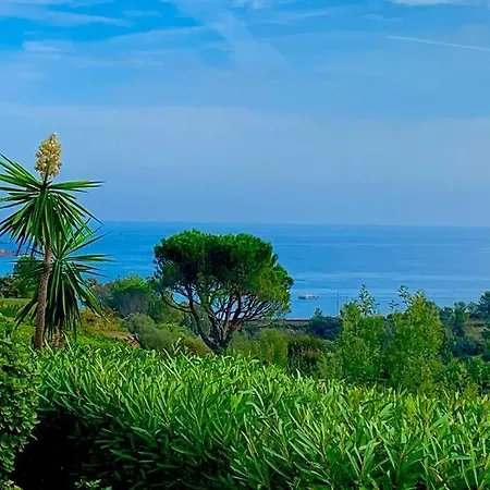T2 Vue Cap Esterel Grande Terrasse Saint-Raphael (Var)